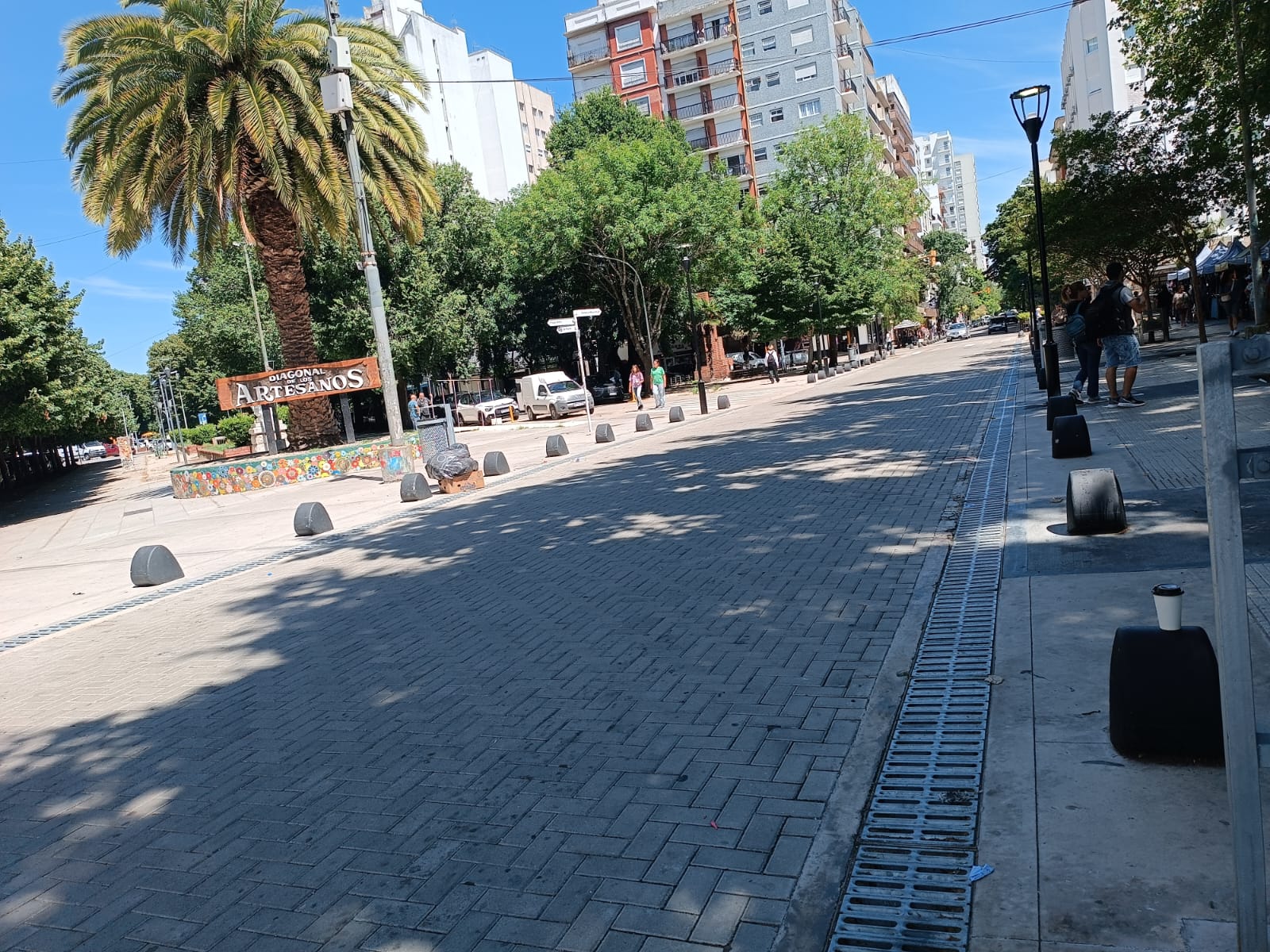 La Peatonal dejó una multa de $352 millones
