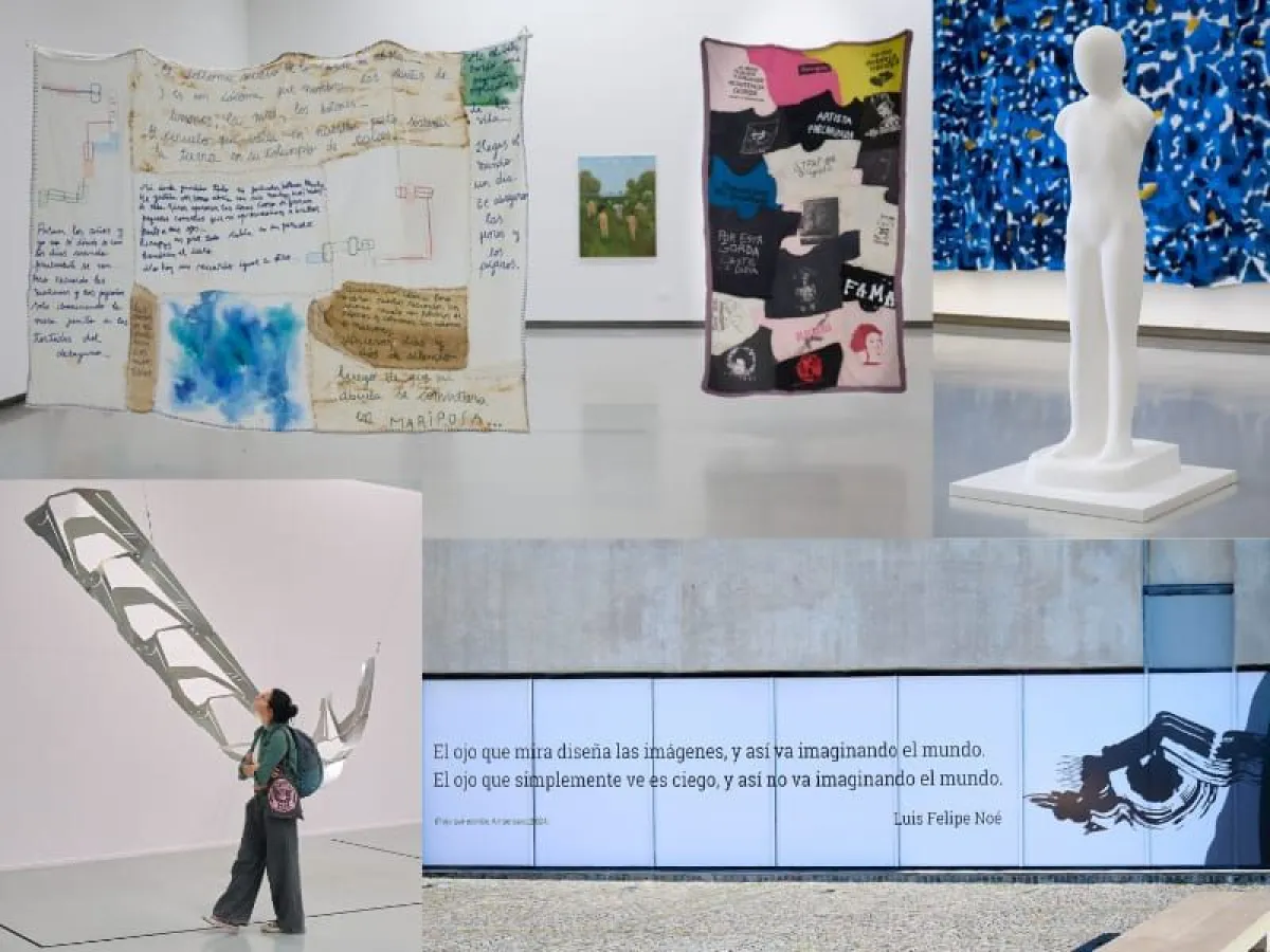 El Museo MAR abre el juego al arte contemporáneo