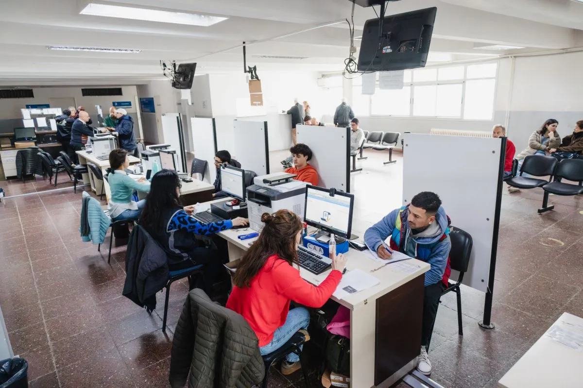 Licencia de conducir: ya podés sacar turno sin pisar Municipalidad