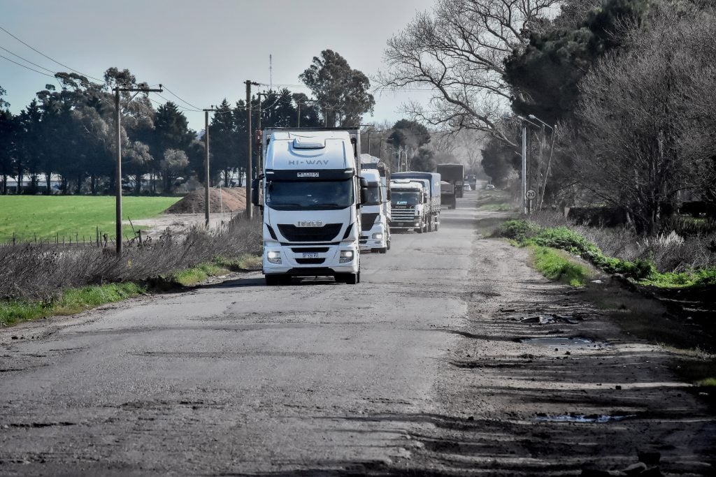 Sin venta ni capital, el cordón hortícola deja tierras