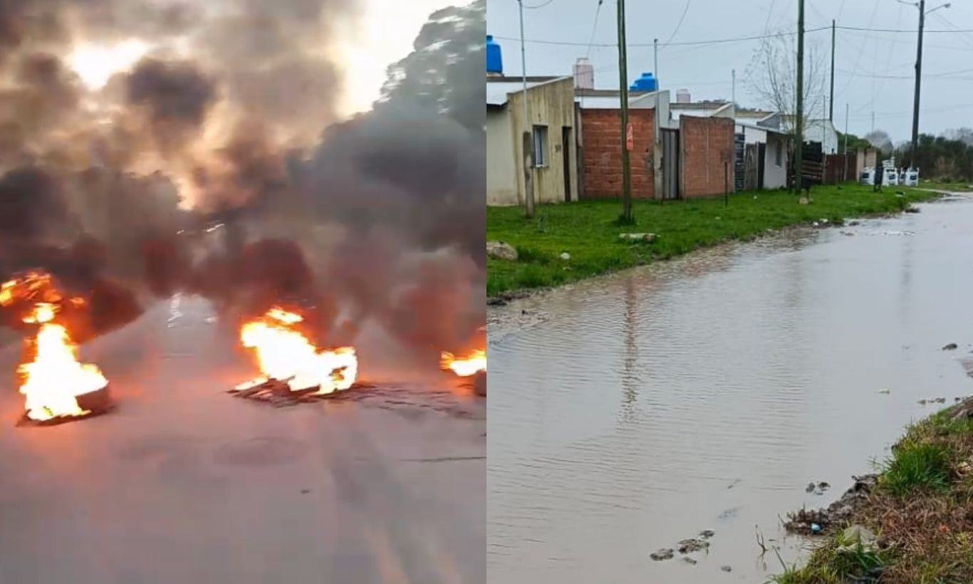 Utopía cortó Newbery por calles e iluminación