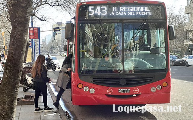 El próximo pliego de colectivos, bajo lupa por accesibilidad