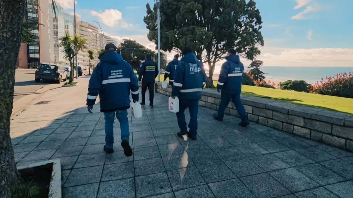 Sigue el operativo anti roedores en espacios públicos