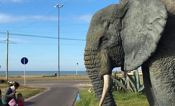 El elefante que fue postal antes del algoritmo