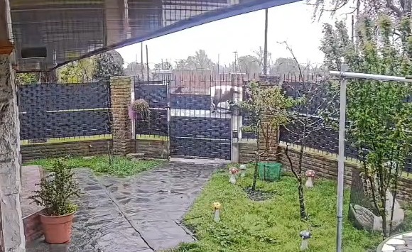 Un caballo embistió una camioneta en barrio Libertad