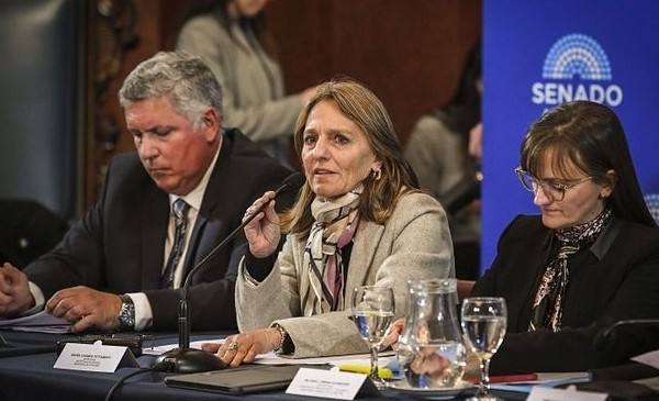 El descuento del gas de MDP quedó a un voto del Senado