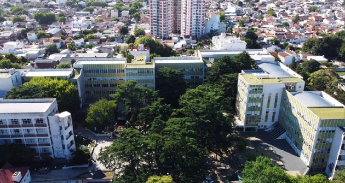 Más de 600 personas hacen cuentas grandes en Mar del Plata