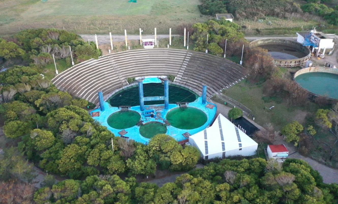 Mar del Plata avanza hacia el fin de acuarios y zoológicos