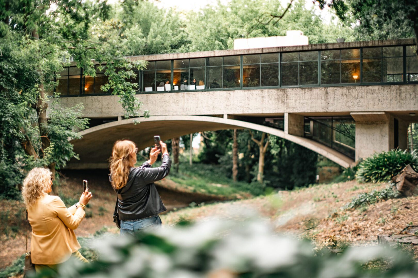 La Casa del Puente suma láser y luces en todo el predio