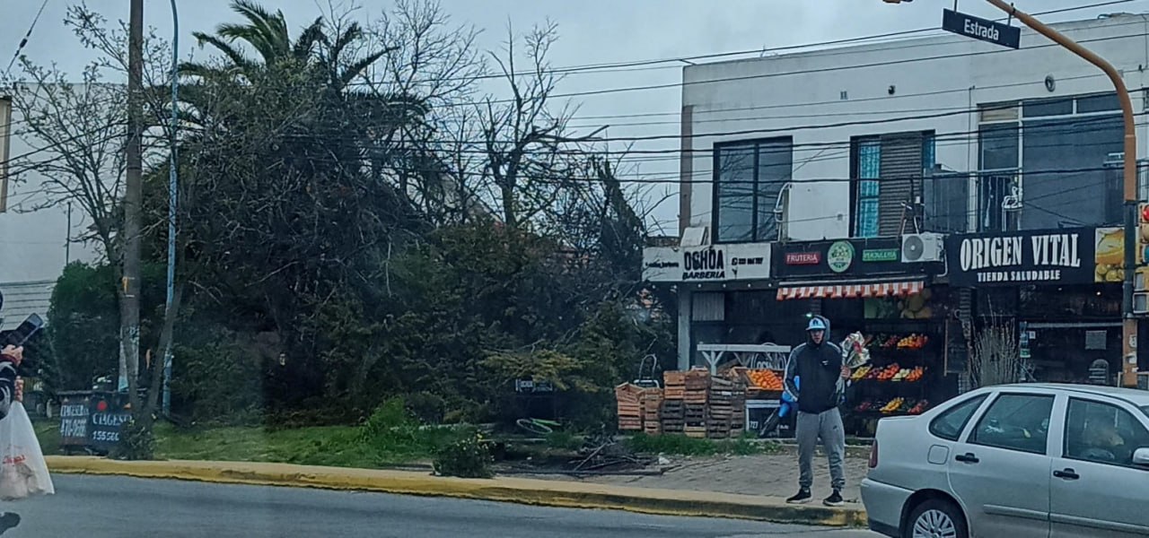 Un árbol cayó en Tejedor y Estrada a segundos de una mujer