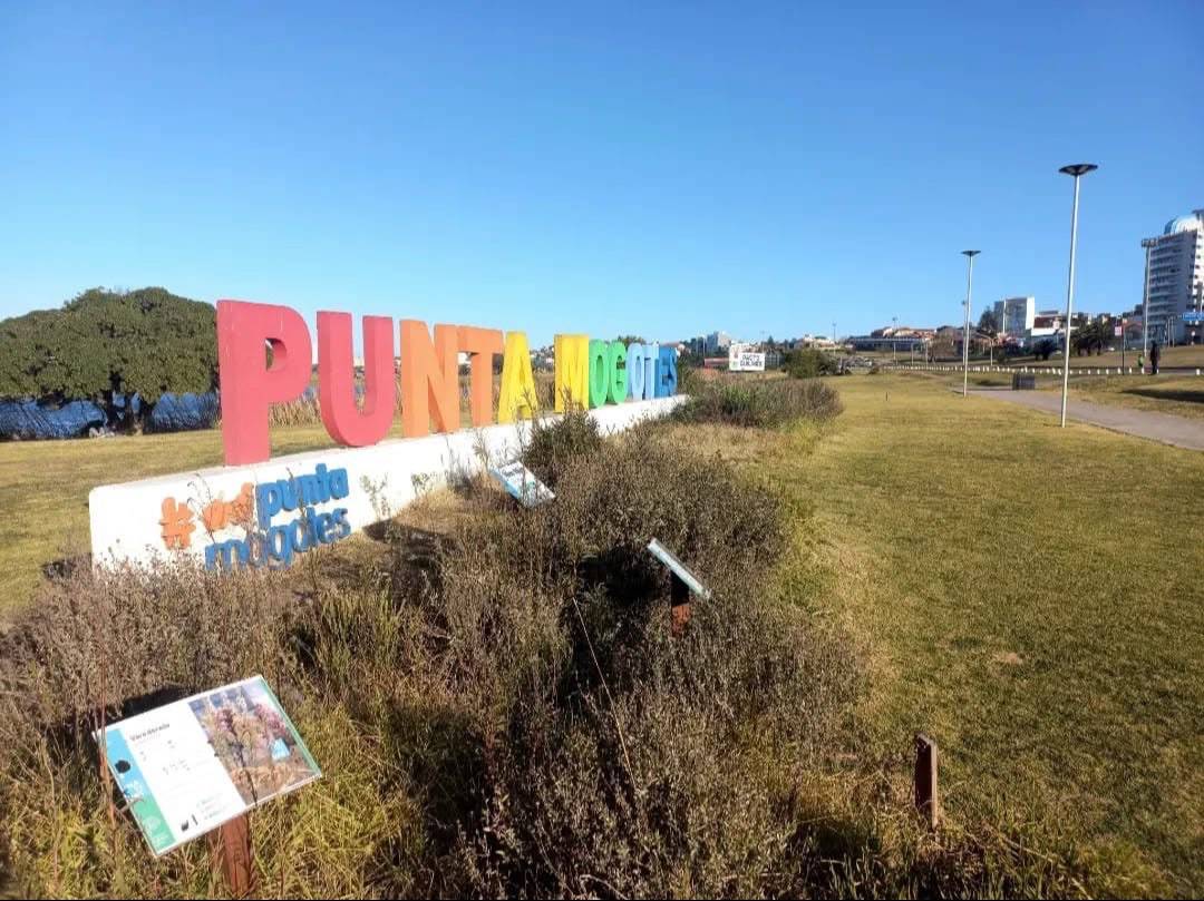 Punta Mogotes aseguró sus 24 balnearios hasta 2027