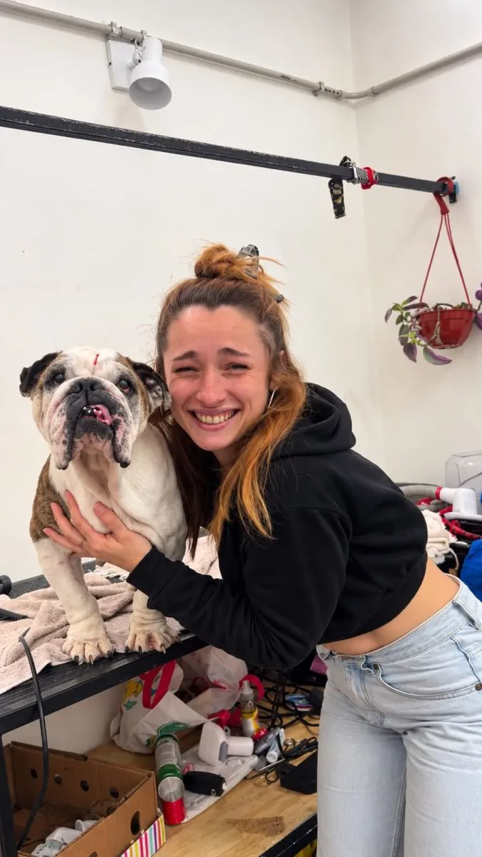 Telas donadas, abrigo para perros sin hogar