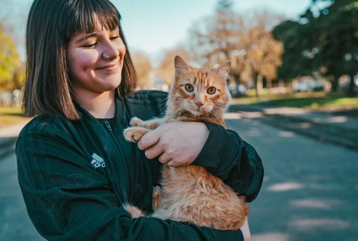 15 cupos por sede para castrar y vacunar mascotas