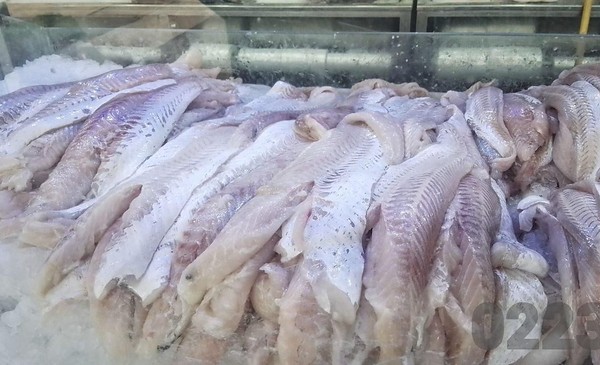 25 familias sin trabajo por falta de pescado