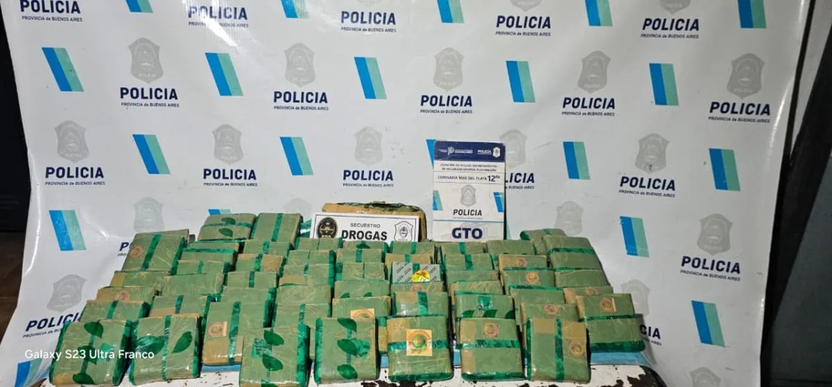 67 panes de coca, municiones y aves en Newbery