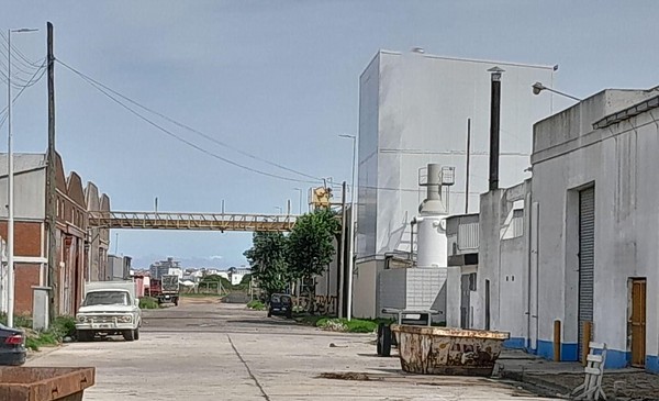 Piden indagatorias por cadmio en harineras del Puerto