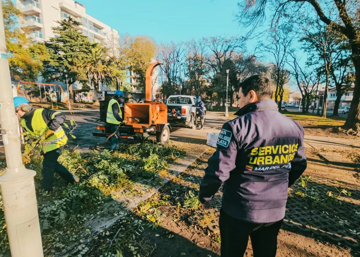 La poda quiere dejar de vivir en la esquina
