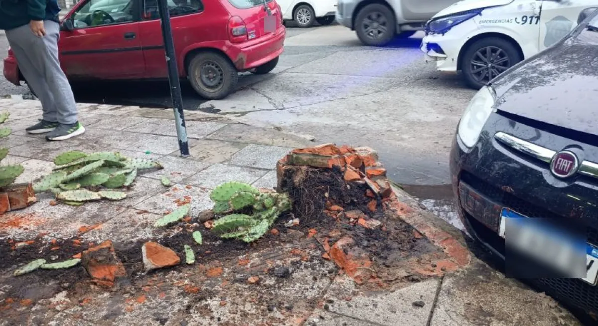 Choque en Rawson y Dorrego rompió una vidriera