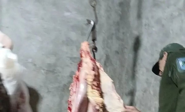 Decomisaron 60 kilos de carne con tierra y pasto