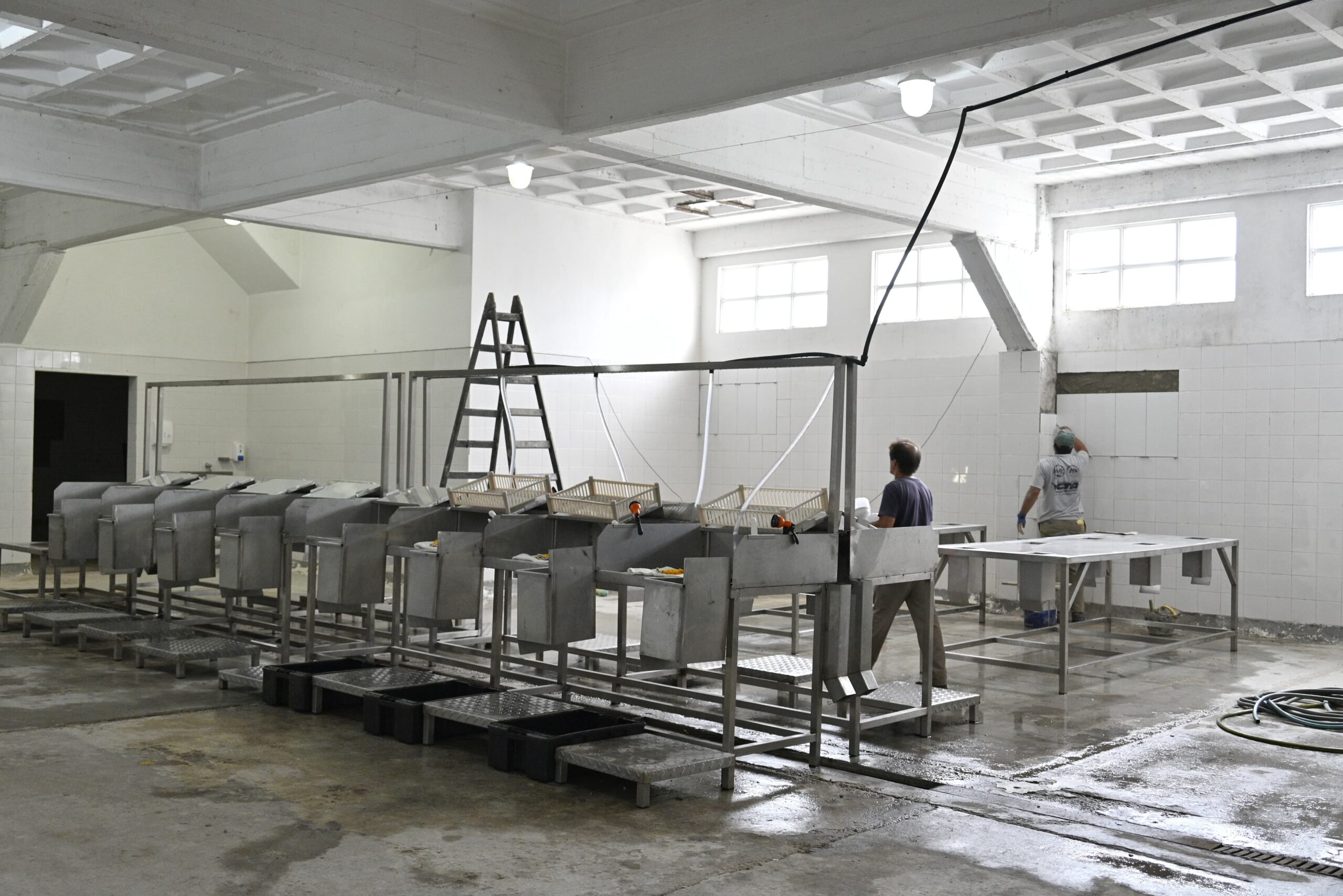 El pescado deja marca: 73% reportó enfermedades laborales