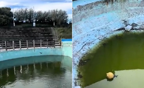 Aquarium lleva 19 meses cerrado y el abandono se ve