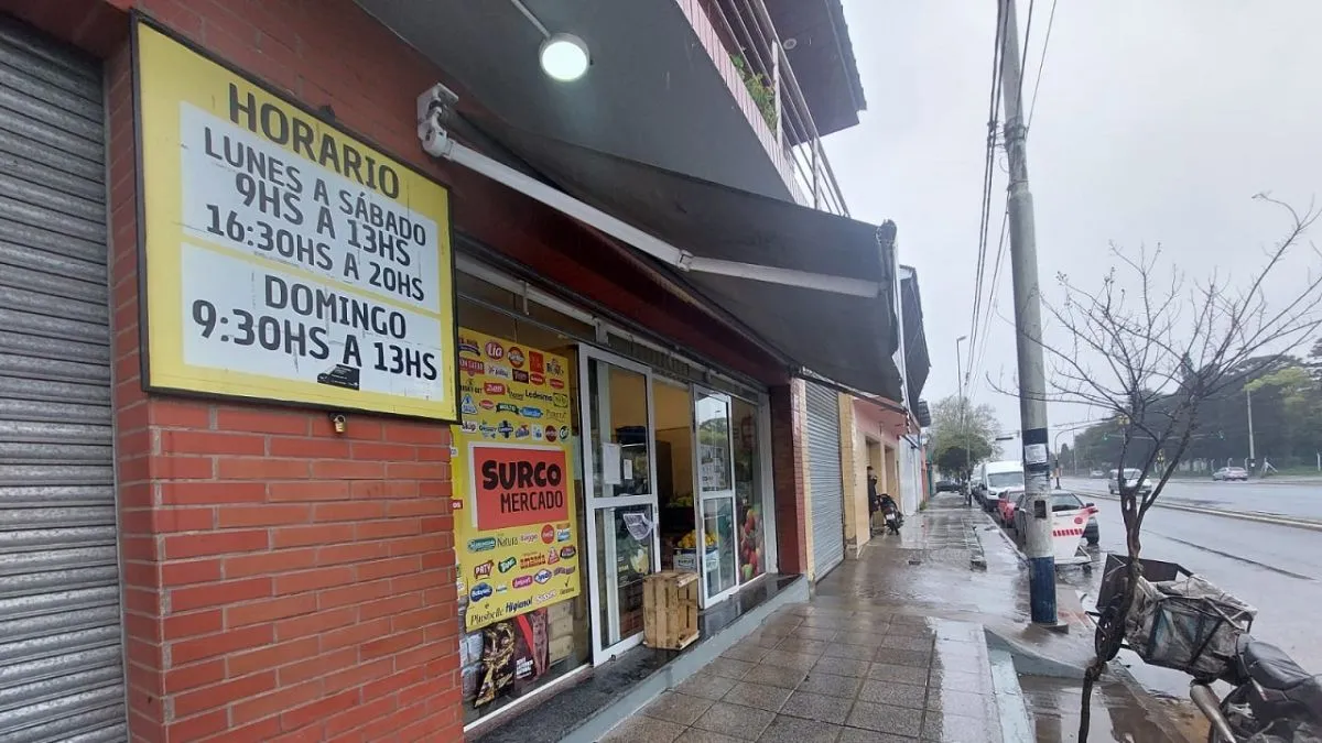 Cuatro asaltantes golpearon a una empleada en Luro al 10.400