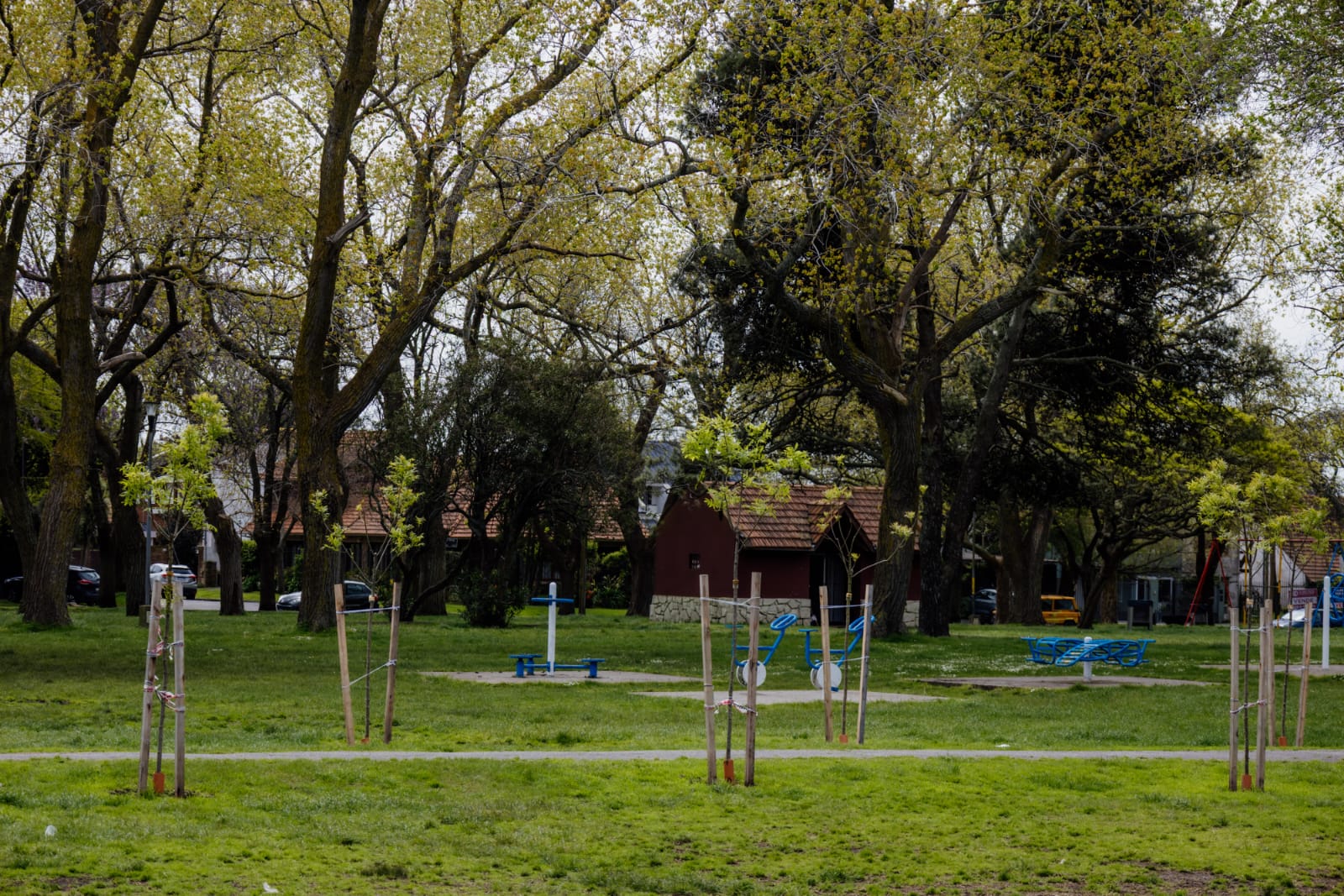 Primavesi planta sombra donde antes faltaba verde
