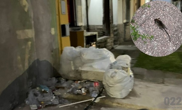 Vecinos denuncian basura y ratas en Las Avenidas
