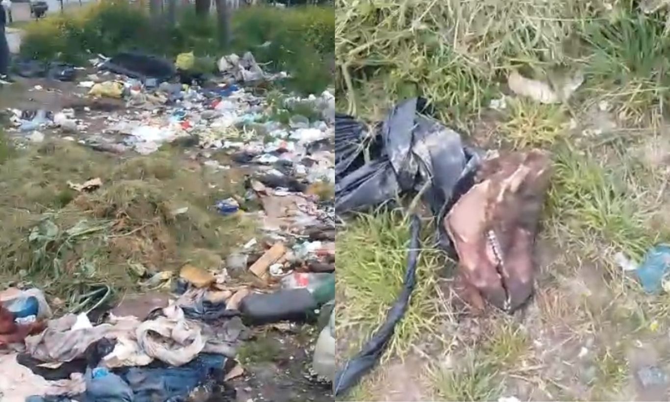 Basura y restos de animales en un baldío de Fortunato
