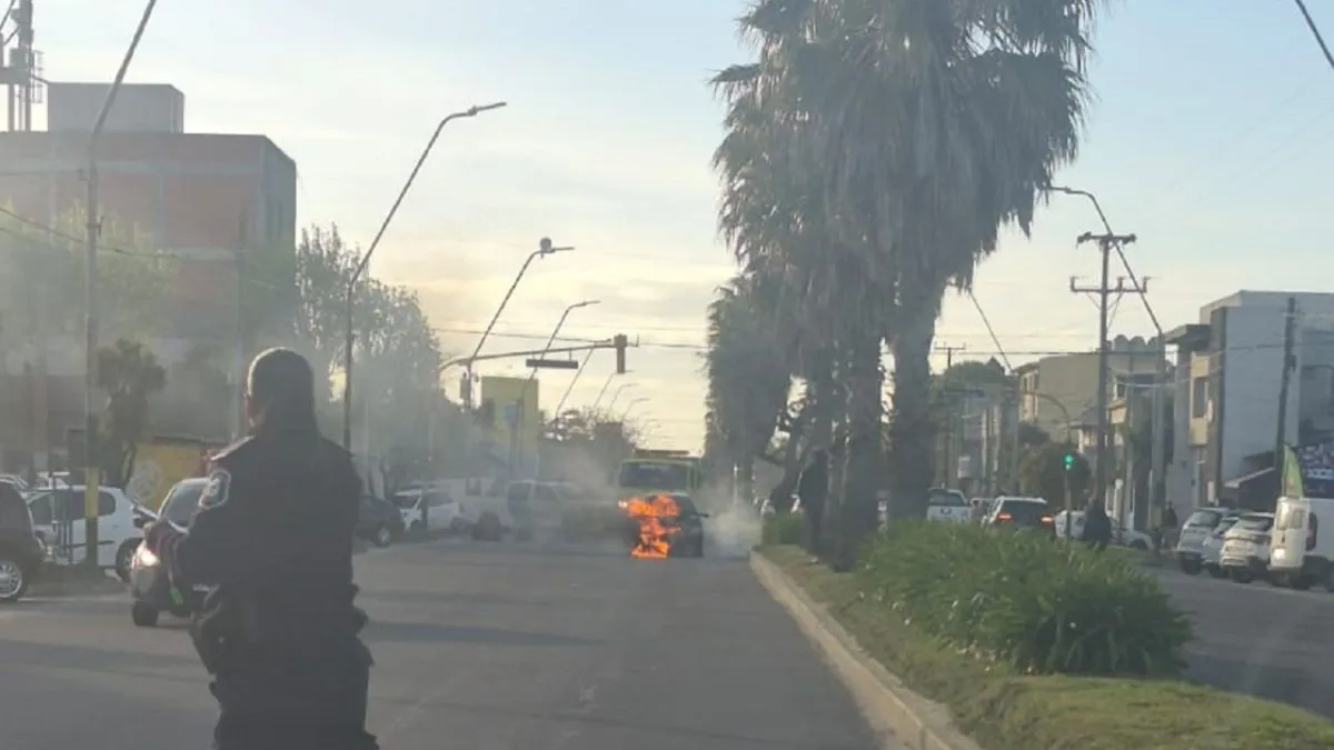 Un Ford Ka se incendió en avenida Constitución