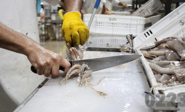 Suspensión de cooperativas inquieta al puerto marplatense