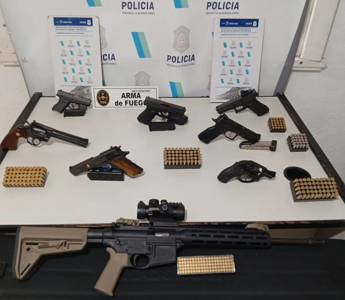 Secuestraron siete armas en un allanamiento por violencia familiar
