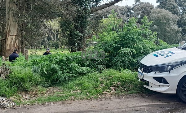 Investigan restos óseos hallados en Parque Independencia