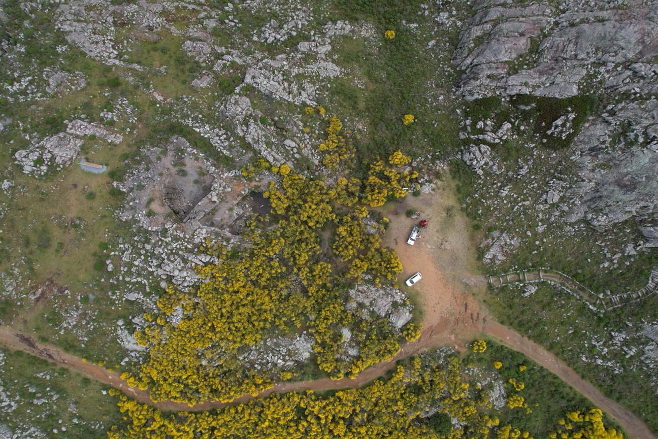 Sierra del Tigre convoca a remover retama