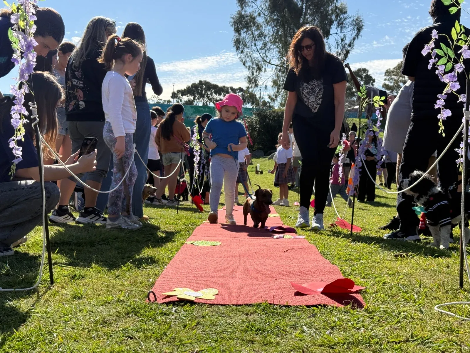 El Parque del Origen tuvo patas, capas y una causa urgente