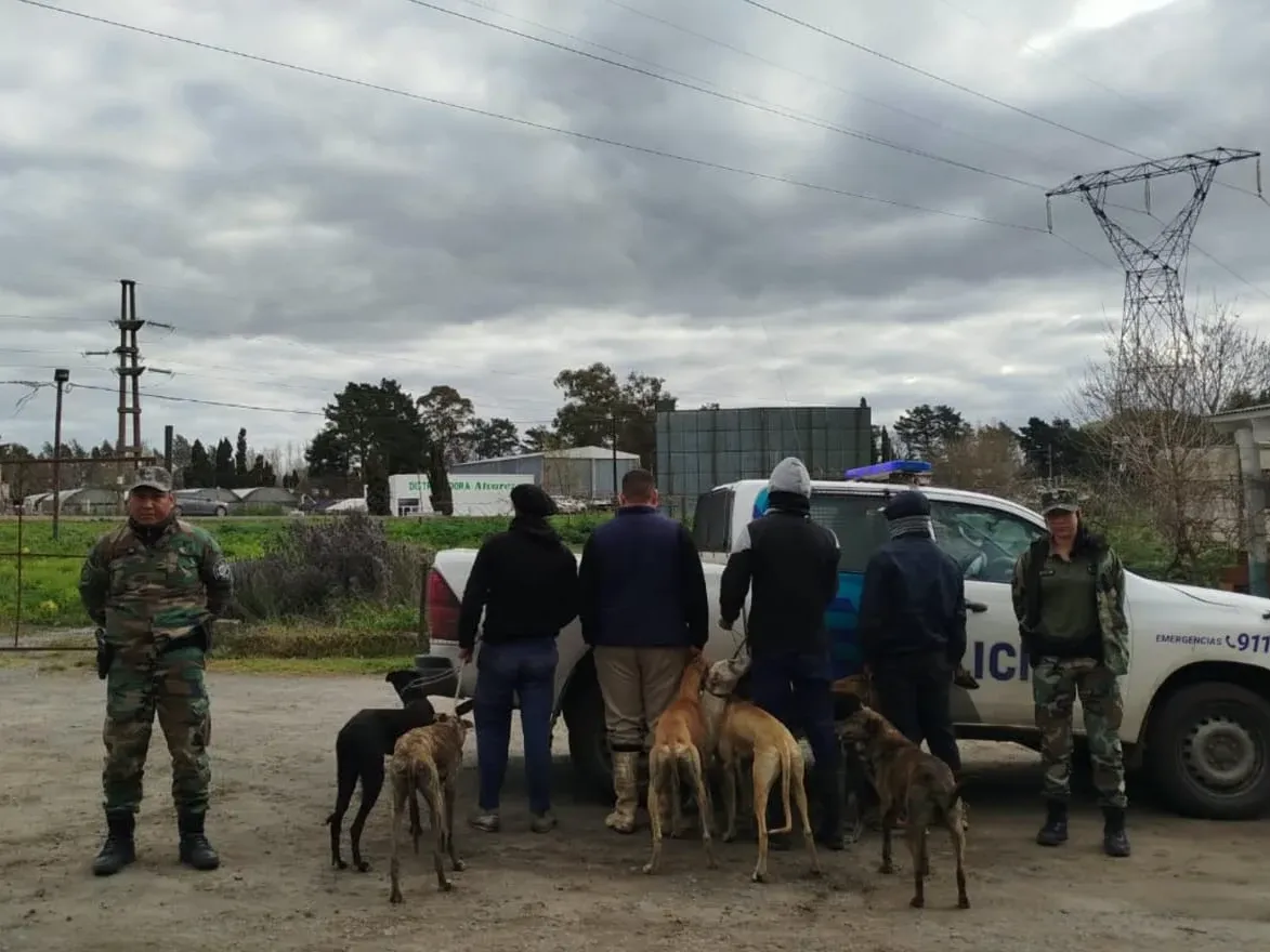 Otra alerta, cuatro hombres y seis galgos en la rural de Tandil