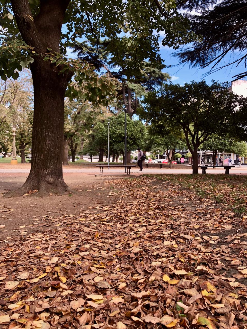 Tandil abre el freezer: sábado con viento y posible lluvia