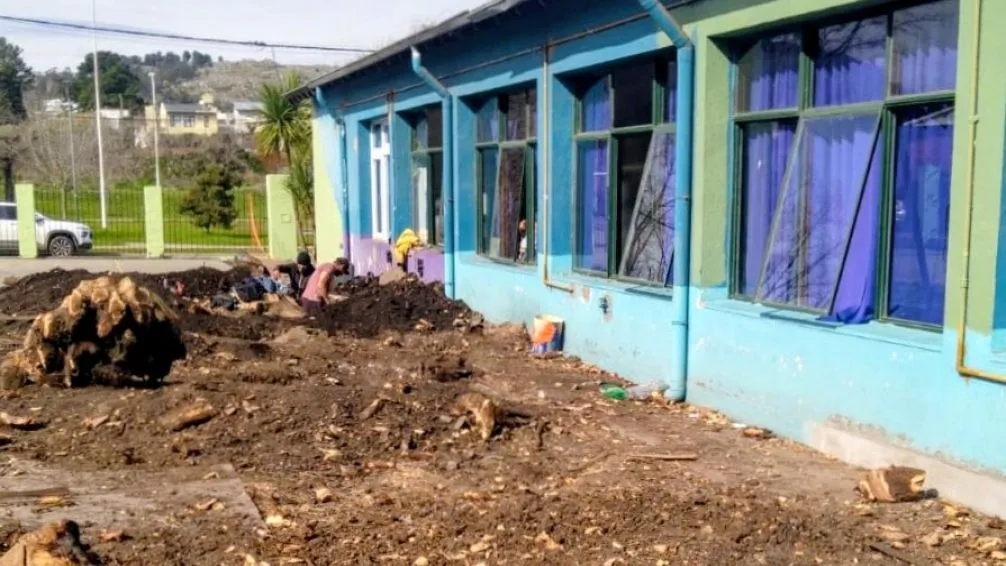 Seis árboles levantaron la Escuela 53 y hubo que sacarlos