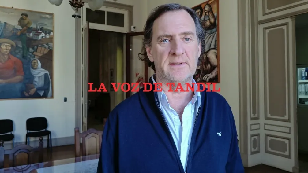 Las apps ya están en Tandil y el taxi pide jugar con las mismas reglas