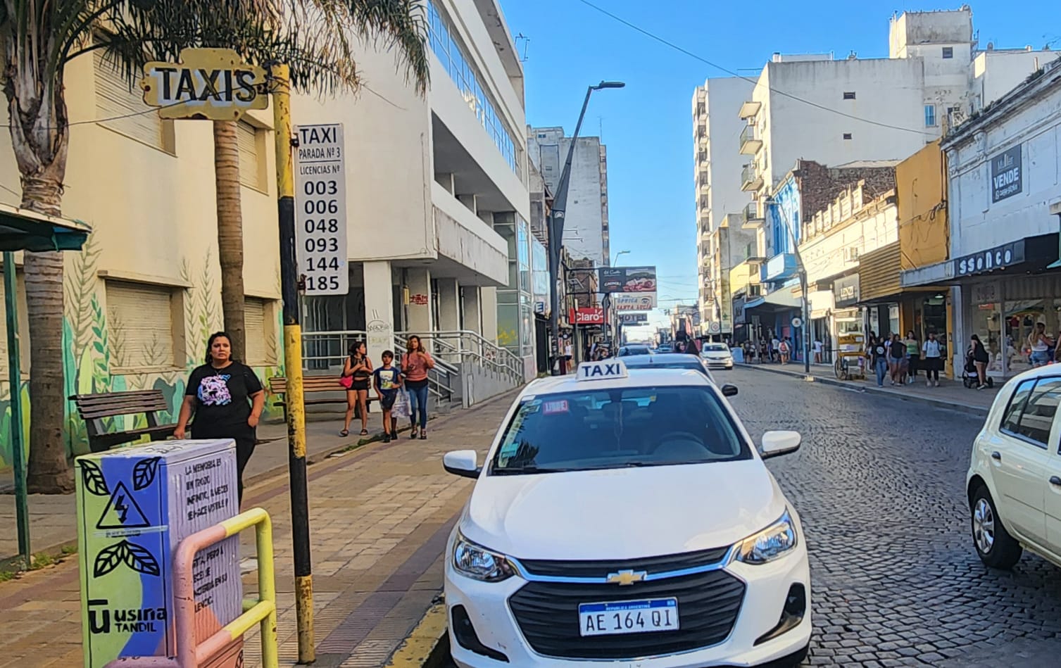 Los taxis quieren que Tandil también viaje con avisos