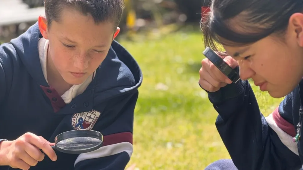 Tandil lleva videojuegos y olivos al congreso educativo