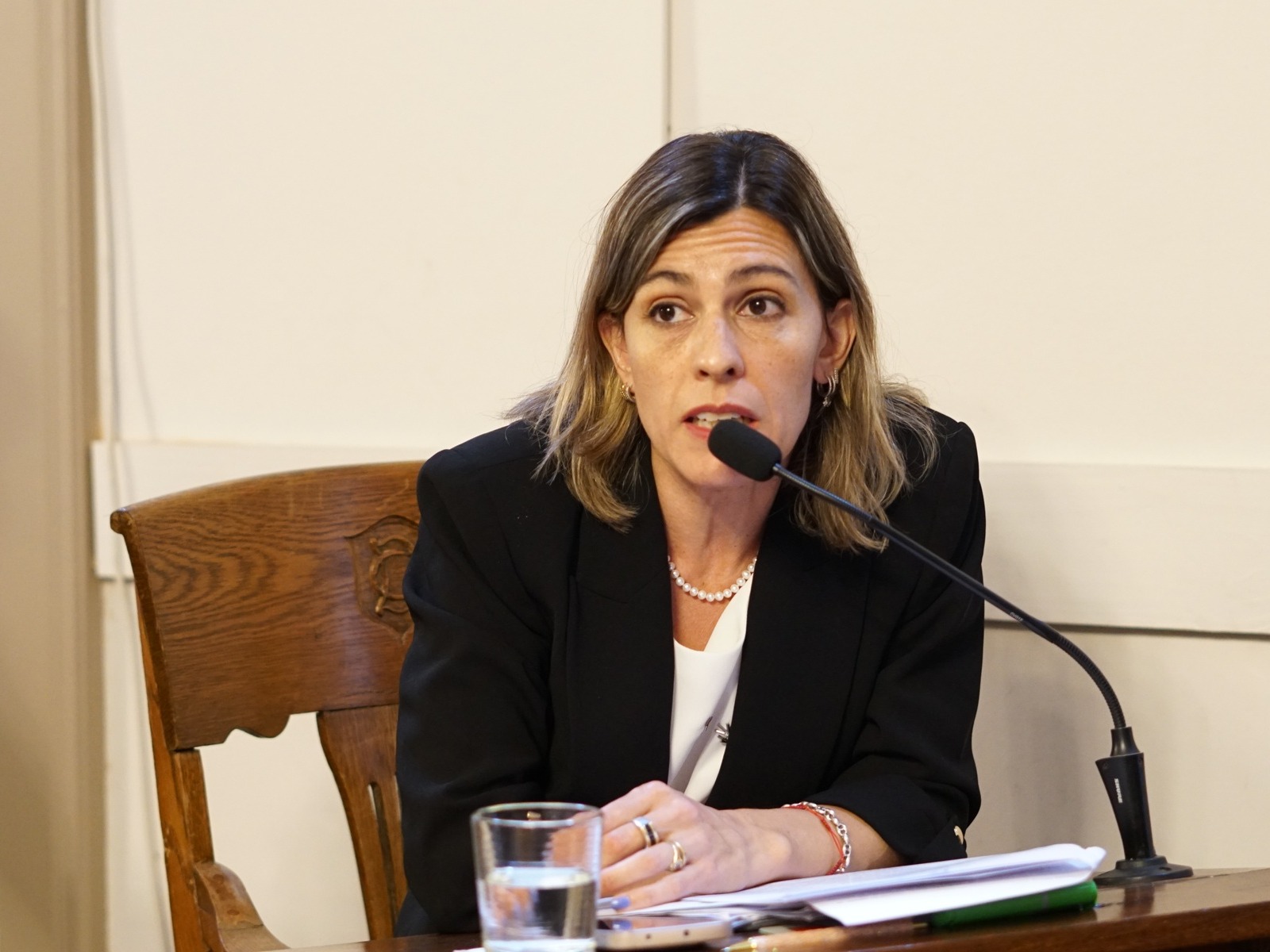 Piden informes sobre la Mesa de Prevención del Suicidio